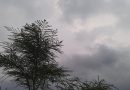 क्या कहते हैं भारतीय नक्षत्रः पुष्य और श्लेषा में मध्यम बारिश होने के अनुमान, पुनर्वसु में सुवृष्टि के योग, बाकी नक्षत्र भी अपना कमाल दिखायेंगे
