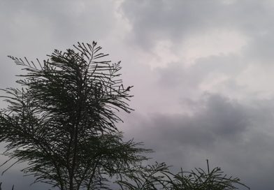 क्या कहते हैं भारतीय नक्षत्रः पुष्य और श्लेषा में मध्यम बारिश होने के अनुमान, पुनर्वसु में सुवृष्टि के योग, बाकी नक्षत्र भी अपना कमाल दिखायेंगे