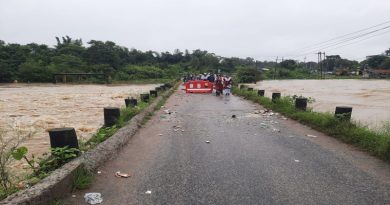 वर्षों बाद रांची चुटिया के लोगों ने देखा स्वर्णरेखा नदी का रौद्र रूप, जलस्तर बढ़ने से पुल के क्षतिग्रस्त होने का भय, सोशल मीडिया के माध्यम से कई लोगों ने प्रशासन से लगाई गुहार