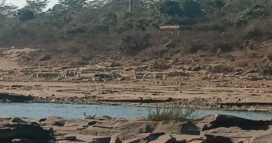 सरयू उठायेंगे चलते बजट सत्र में धनबाद में चल रहे कोयला माफियाओं के अवैध उत्खनन के धंधे का मामला