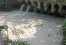 बोकारो थर्मल पावर स्टेशन फिर से दामोदर को करने लगा प्रदूषितः सरयू राय